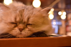 睡眠中