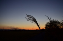 夕暮れ