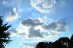 natu_0127