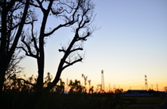 夕暮れ