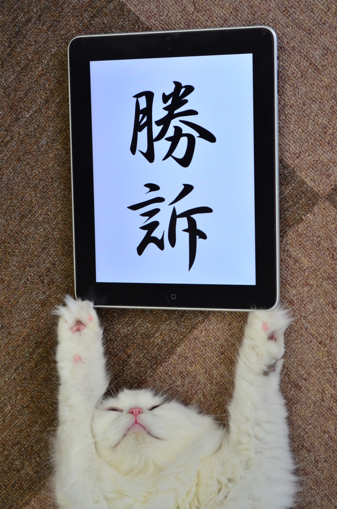 ねこ