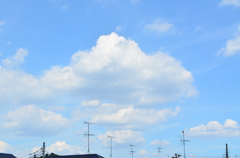natu_0067