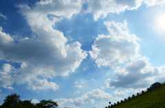 natu_0080