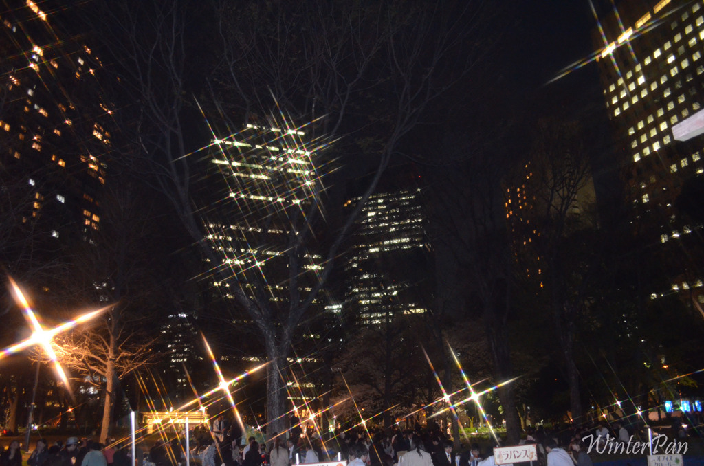 夜景ビル