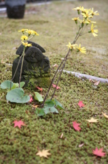 田の神様