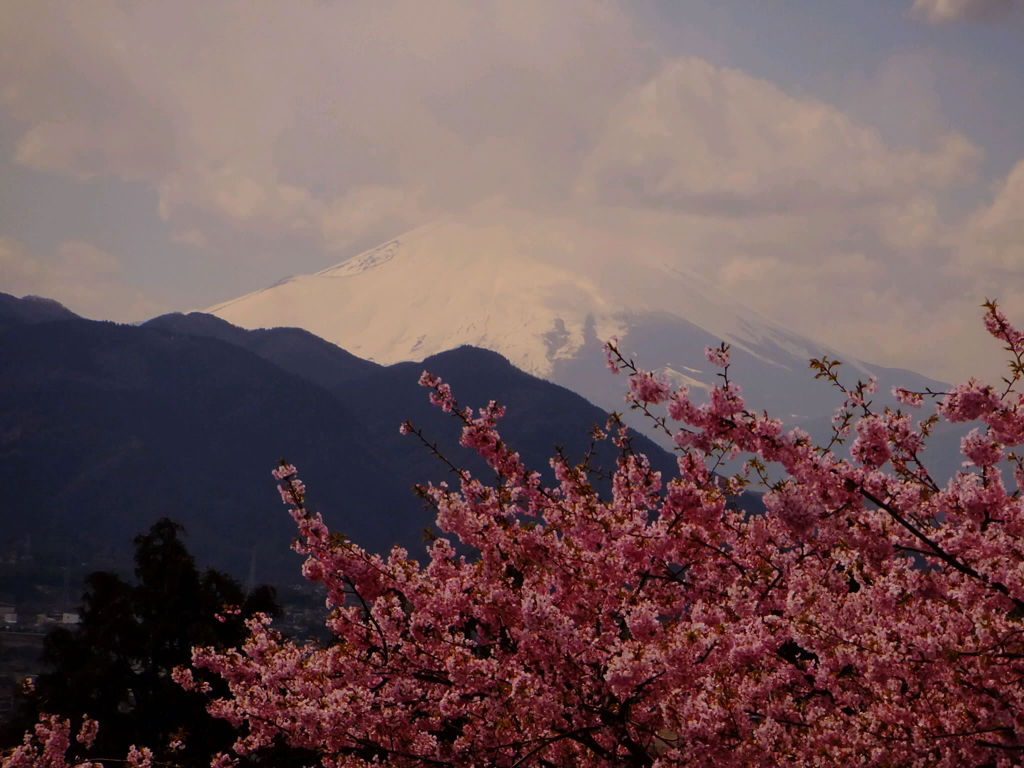 日本の風景