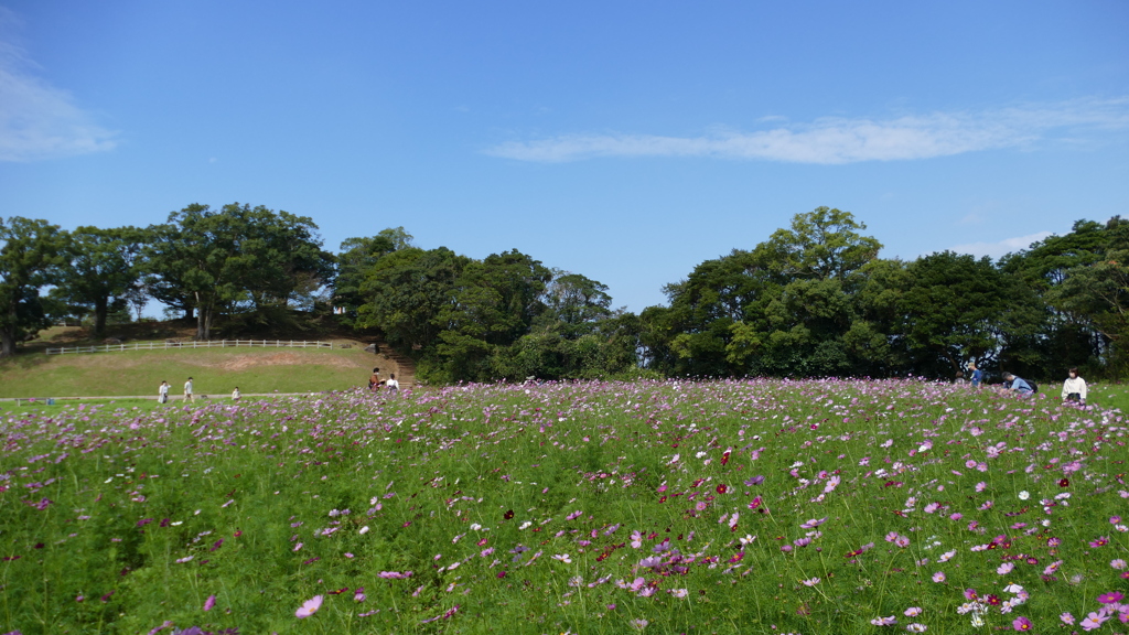 日本の風景