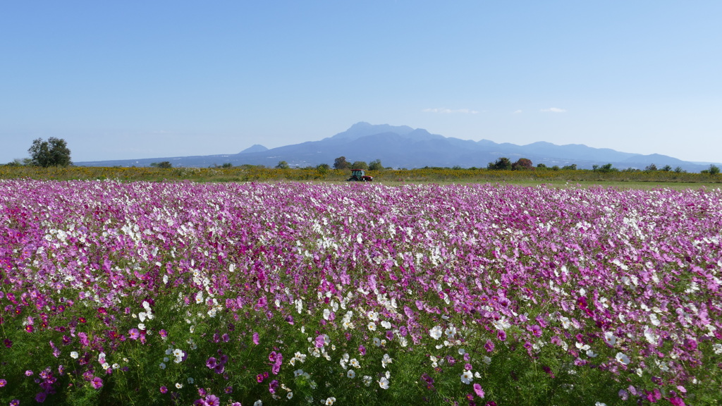 長崎県諫早市