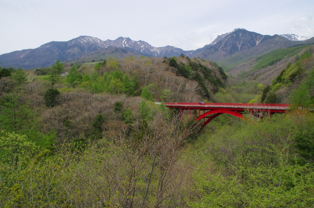 新緑の八ヶ岳