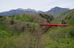 新緑の八ヶ岳