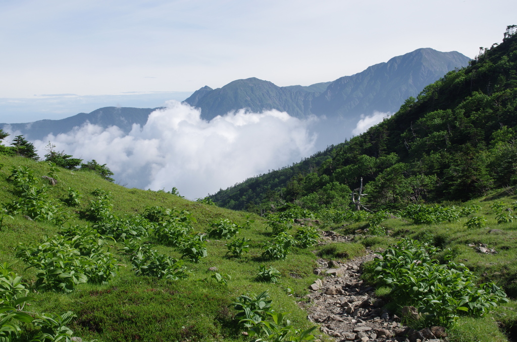 光岳からの聖岳