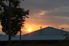 富士市の夕陽