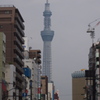 スカイツリー