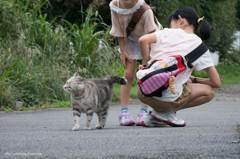 だから触らニャいでー!!