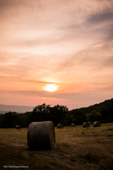 夕焼けの牧草地