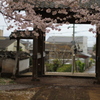 風が通り抜ける門