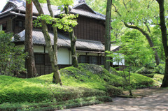 天気がいいと緑が綺麗