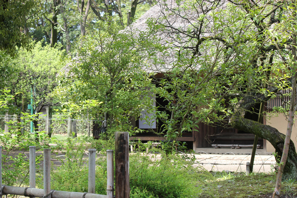 白川郷に行きたくなるね
