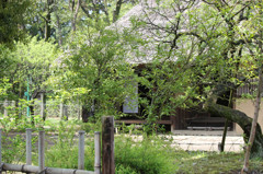 白川郷に行きたくなるね