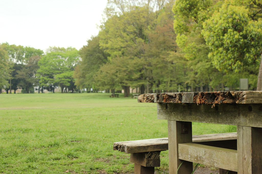 テーブルとベンチと・・・