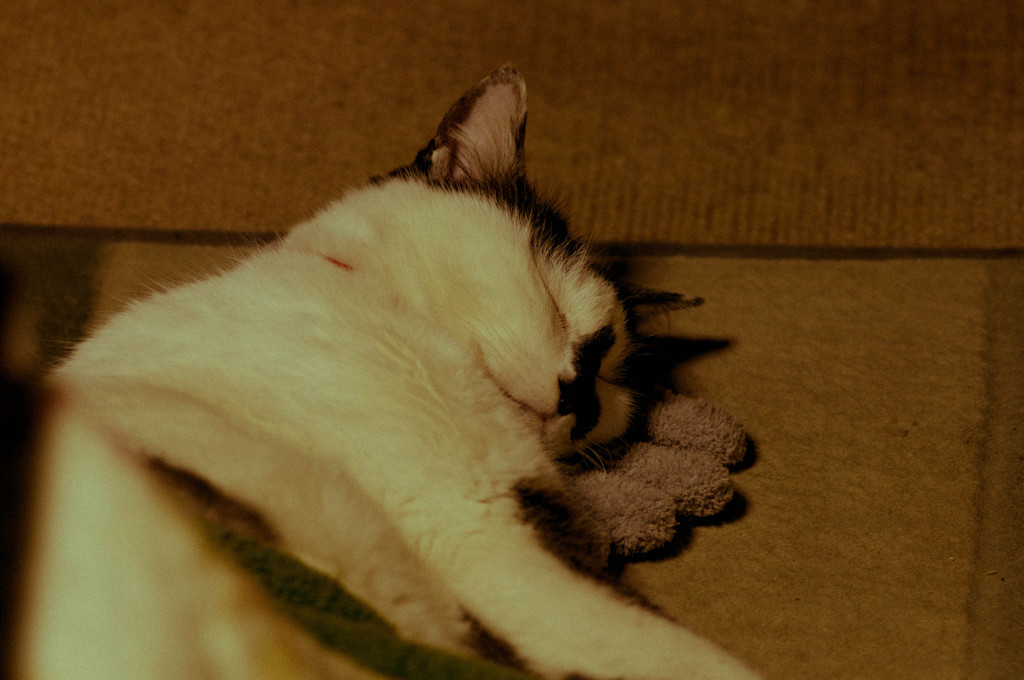 zzz...