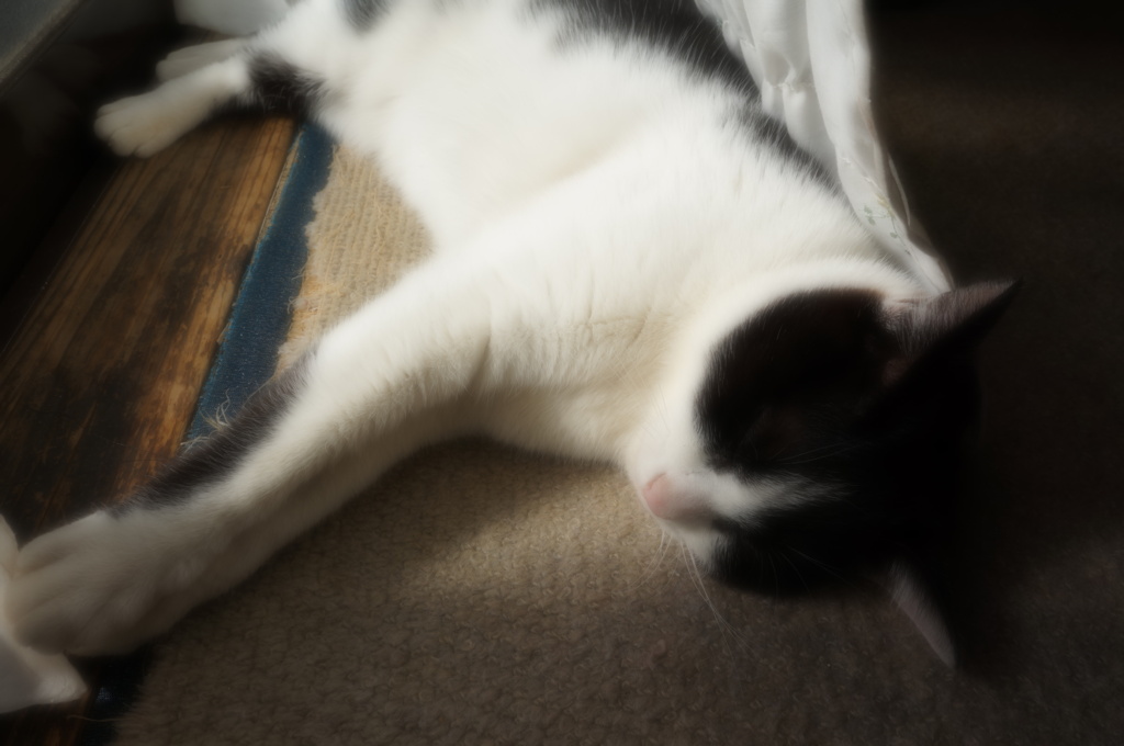 嘘みたいだろ、これ・・・