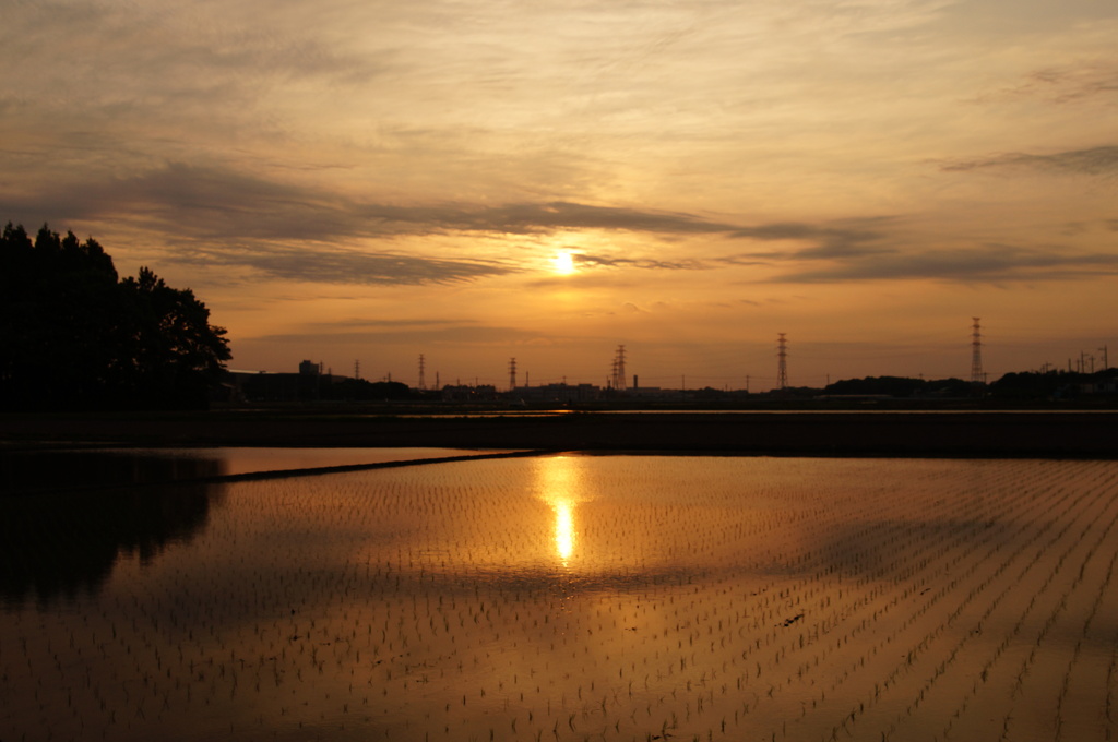 田園の夕暮れ