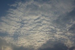 多摩の雲