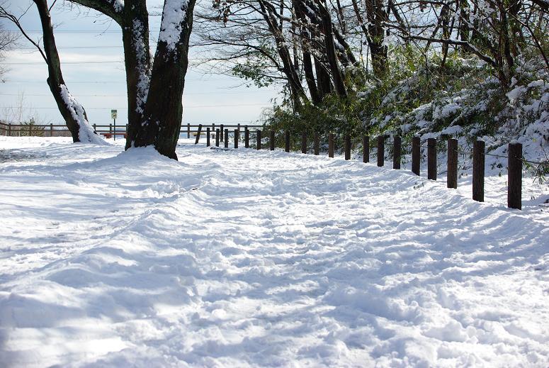 雪道