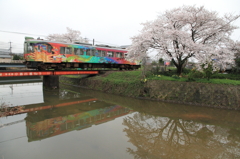 川面に映る