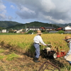 ご夫婦で稲刈り
