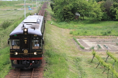 くろまつ　大宮路を行く
