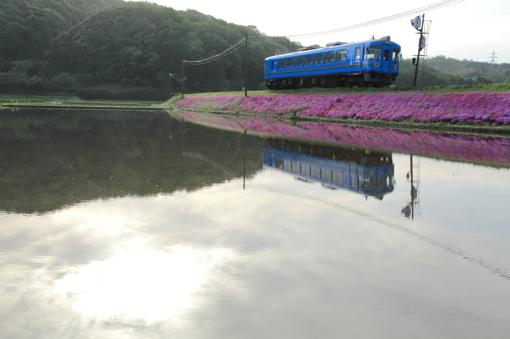 田植え前