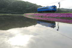 田植え前