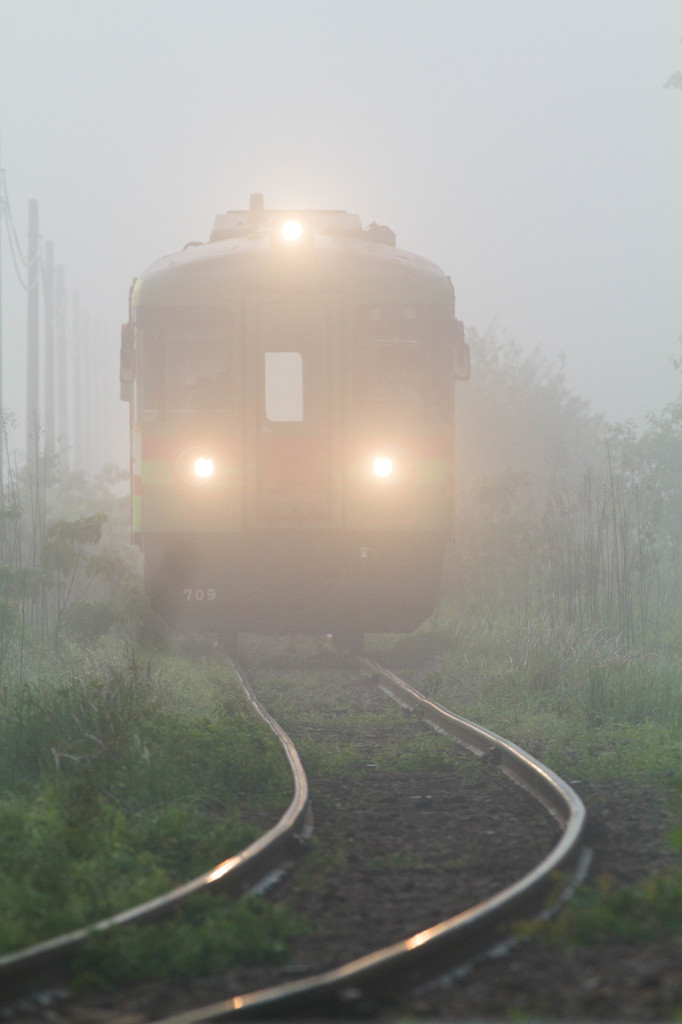 朝霧の中から現れて