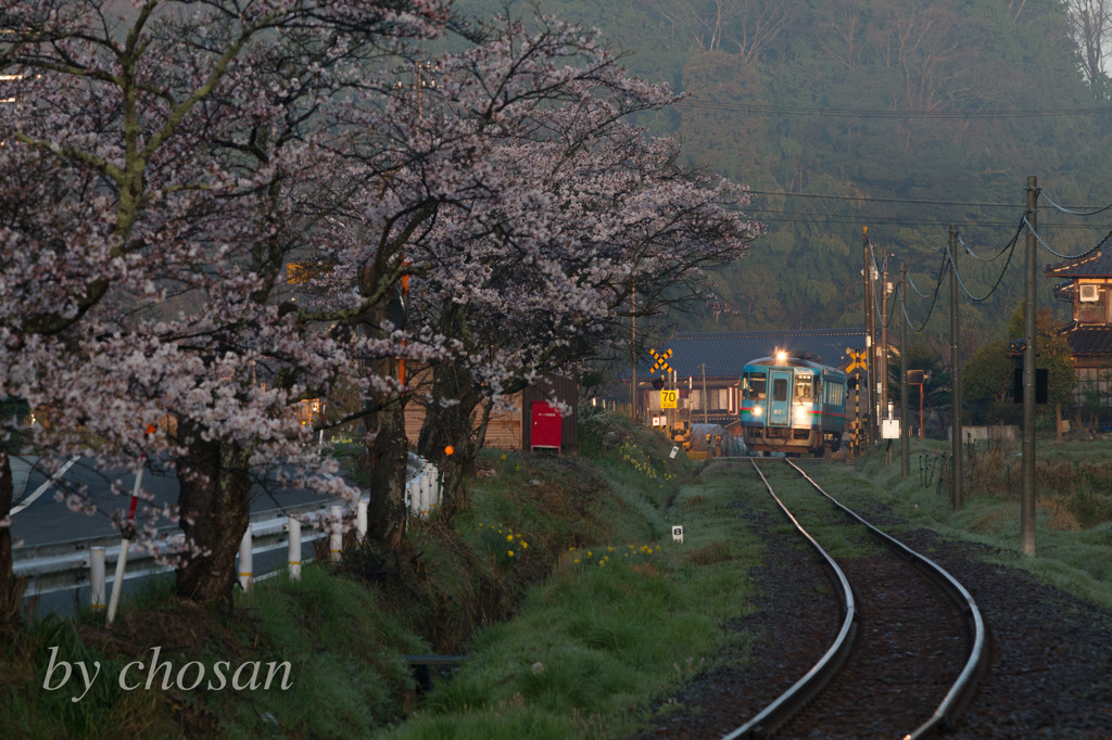 朝日に照らされた列車