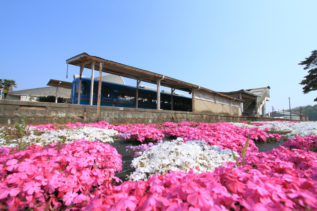 網野駅停車中