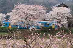 花の木津温泉駅