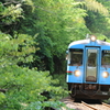 新緑浴2