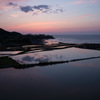袖志棚田夕景