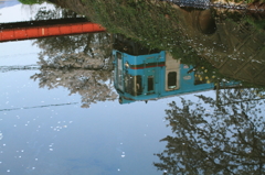 花びら浮かぶ川面