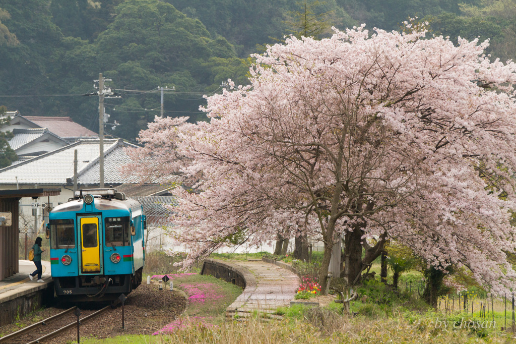 サクラ駅からお出かけですか？