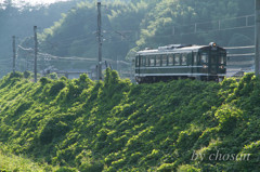 みどりの築堤を行く