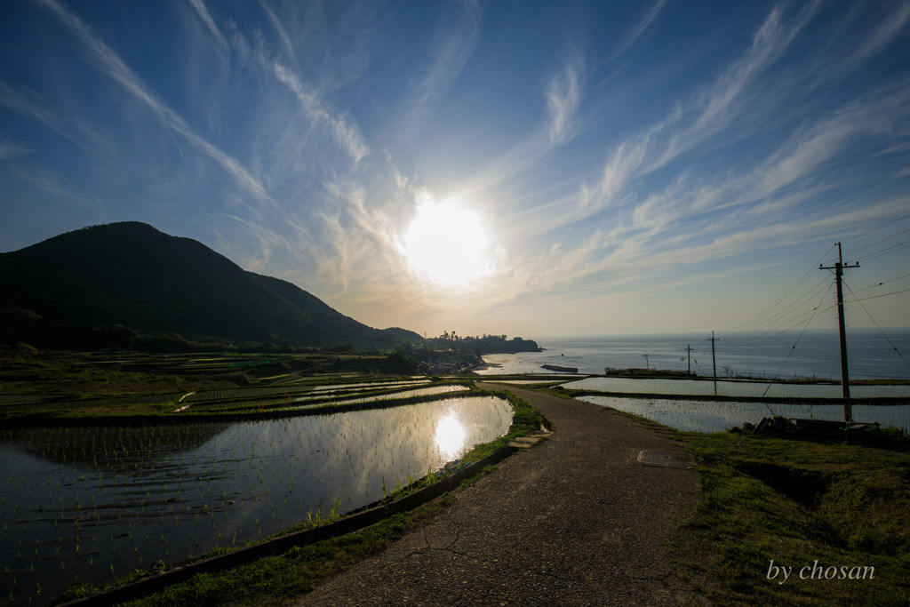 棚田を覆う太陽オーラ
