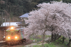 夕日ヶ浦木津温泉駅の桜