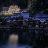 舟屋の街並みと夜桜