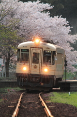 桜を背にして出発