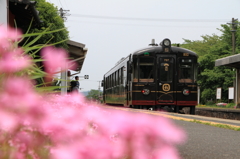くろまつ　丹後大宮駅到着