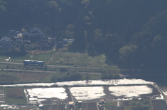 光る田んぼのそばを走る