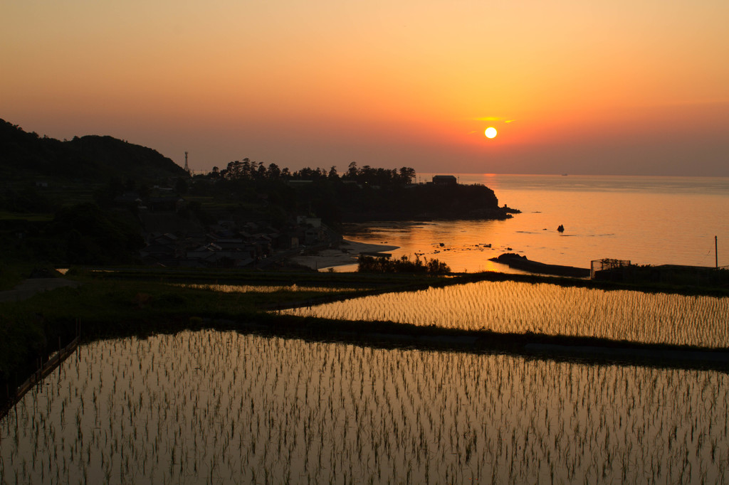 海と水田の夕景